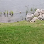 Chalé 3-bed Caravan - Haven Lakeland Leisure Park *